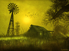 In the Countryside...