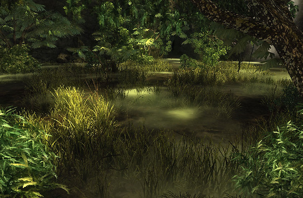 Big Swamp Area in Risen