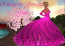 Romance and frindship gown