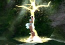falls_007