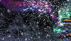 Xmas　carkmoon 2009