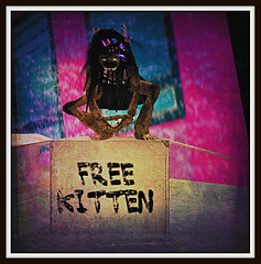 free to good home