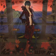Autumn leaves