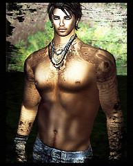 Damien Garden
