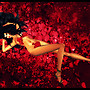 Redroses