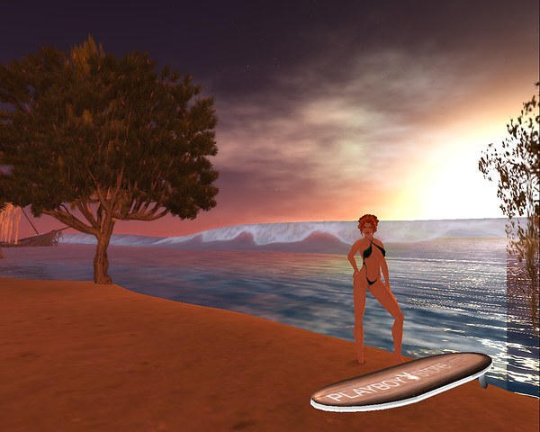 the Spot: ready to surf