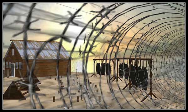 The Western Front