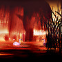 pond_004