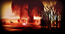 pond_004