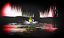 pond_008