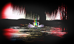 pond_008