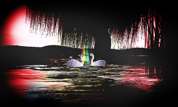 pond_008