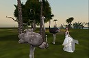 with joy_007