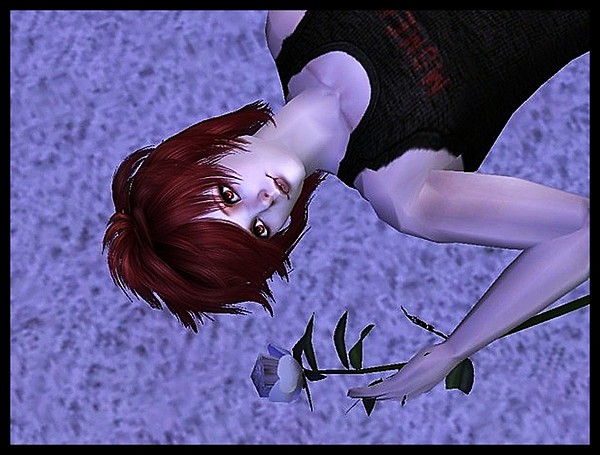 Remember Past~