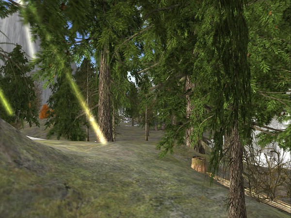 Sarek Forest 2