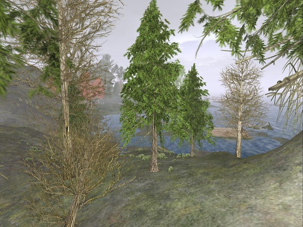 Sarek Forest