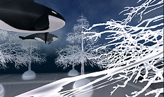 Syncretia- The Whale Basin