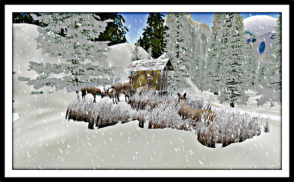 Deer