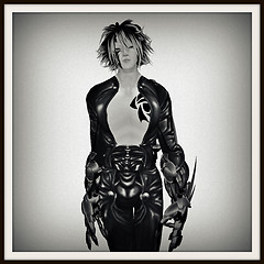 from "Quintessence" Bark Aabye Photo Gallery