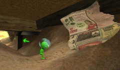 Back in the Greenies world - Koinup Burt
