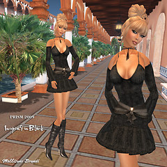 Prism 2009 Inspired in black