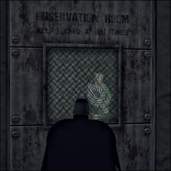 Channel Island Asylum