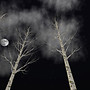 NordicLights7