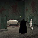 Channel Island Asylum