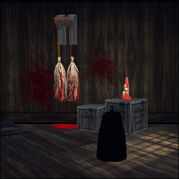 Channel Island Asylum