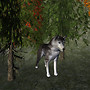 NordicLights4