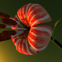 flower2_001