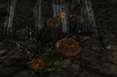 pumpkins1_001