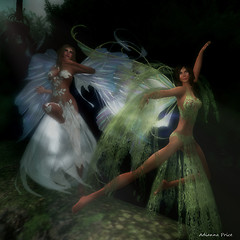 Dream