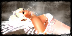 A Fairies Wish