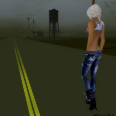 This Road I Travel
