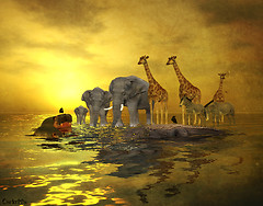 A Most Wondrous Gathering