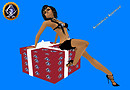 (EOE)SW RED GIFT BOX