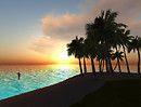 Dolphin_002b