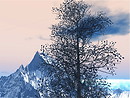 Winter has already come in Second Life
