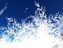 Winter_002c