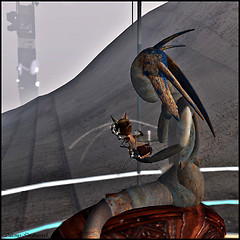 Immersiva6 (January 2009)