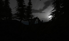 Snapshot_008