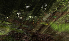 Snapshot_007