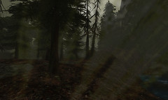 Snapshot_005