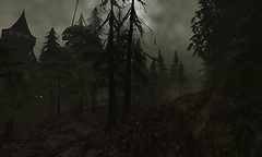 Snapshot_004