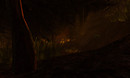 Snapshot_003
