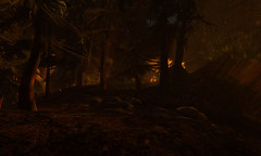 Snapshot_002