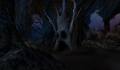 Bentham Forest_002