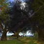 6pi sure has some beautiful places