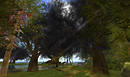 6pi sure has some beautiful places